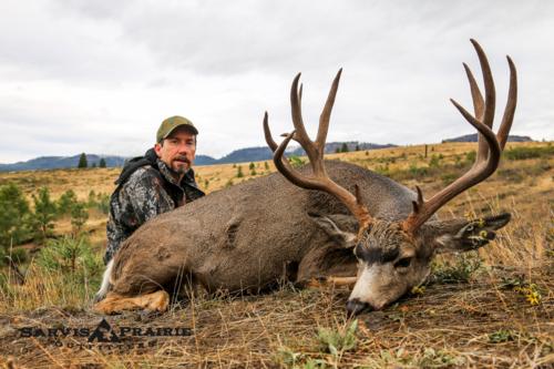 Bob H. - Renton, Washington